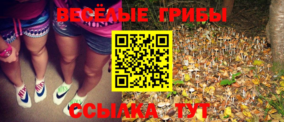 Кемерово  Галлюциногенные грибы Psilocybine cubensis  Вход с VPN 