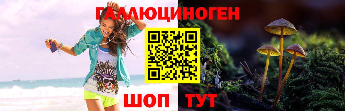Псилоцибиновые грибы ЛСД Кемерово